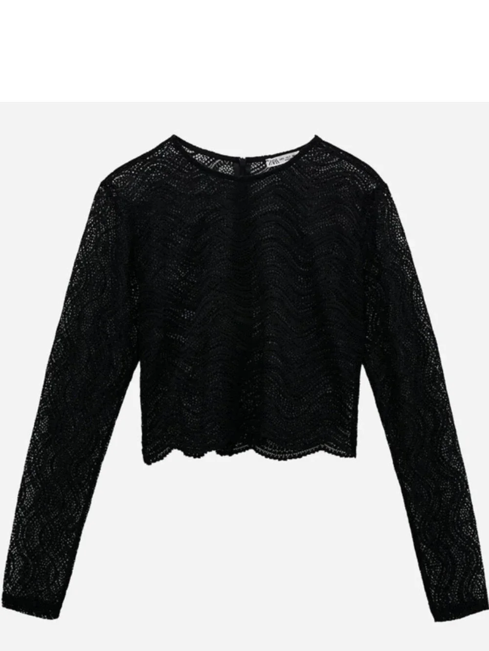 ZARA Black Lace Semi-Sheer Cropped Top